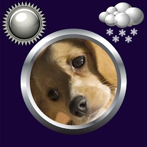 Dog Weather Clock Widget logo