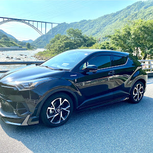 C-HR ZYX10