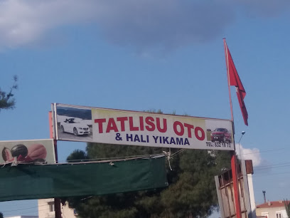 Tatlısu Oto & Halı Yıkama