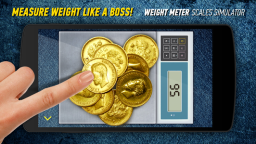 Pocket Weight Scales SIMULATOR