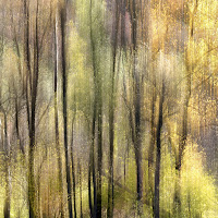 Magia d'autunno di 