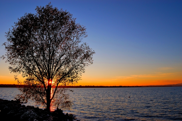 Albero con vista lago. di zik_nik