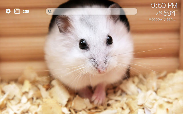 Hamsters HD new free tab theme