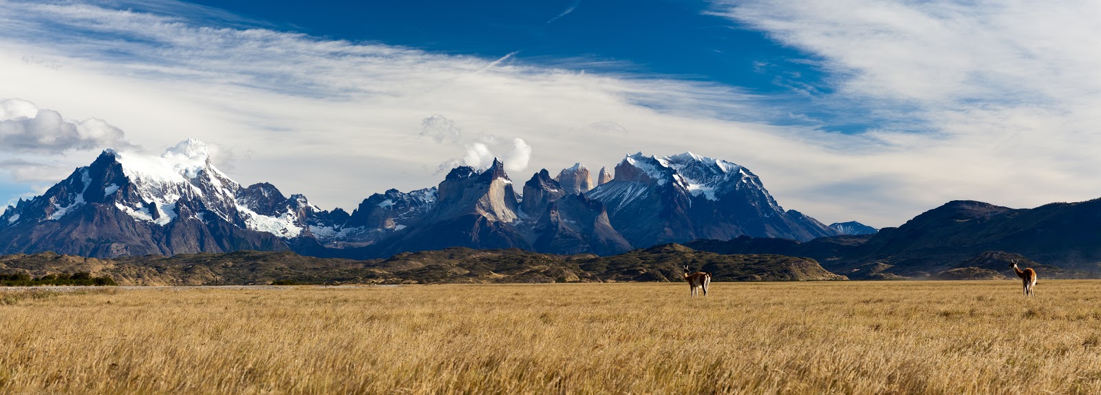 Патагония: Carretera Austral - Фицрой - Торрес-дель-Пайне. Треккинг, фото.