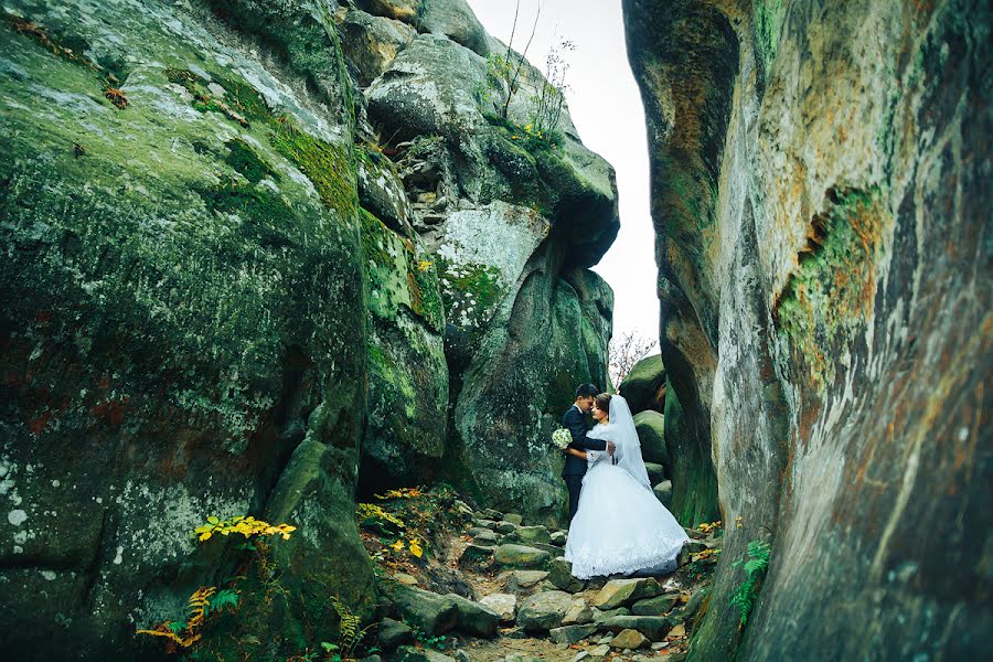 Photographe de mariage Sergіy Kasatkіn (skasatkin). Photo du 20 avril 2017