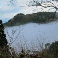 南庄高山青農場