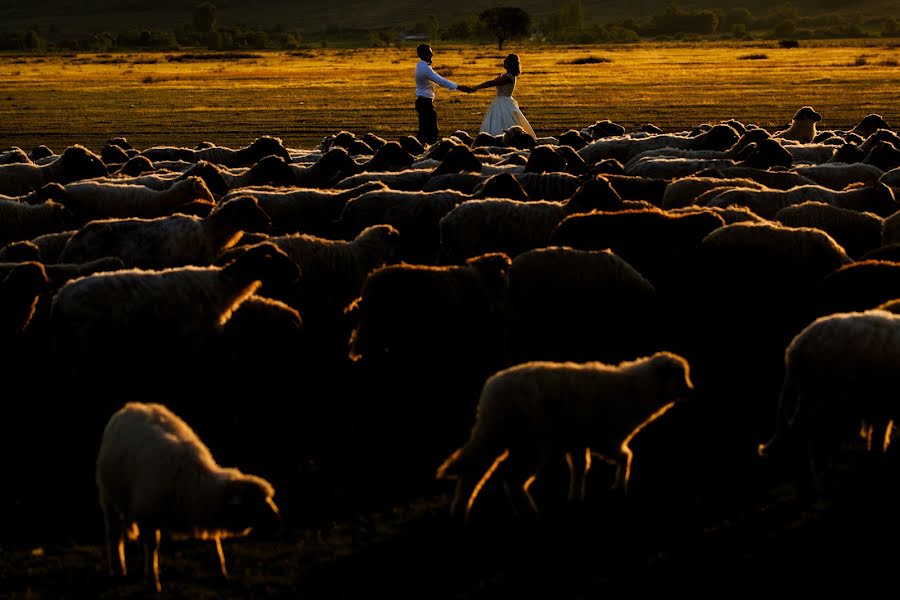 Düğün fotoğrafçısı Sabina Mladin (sabina). 12 Temmuz 2017 fotoları