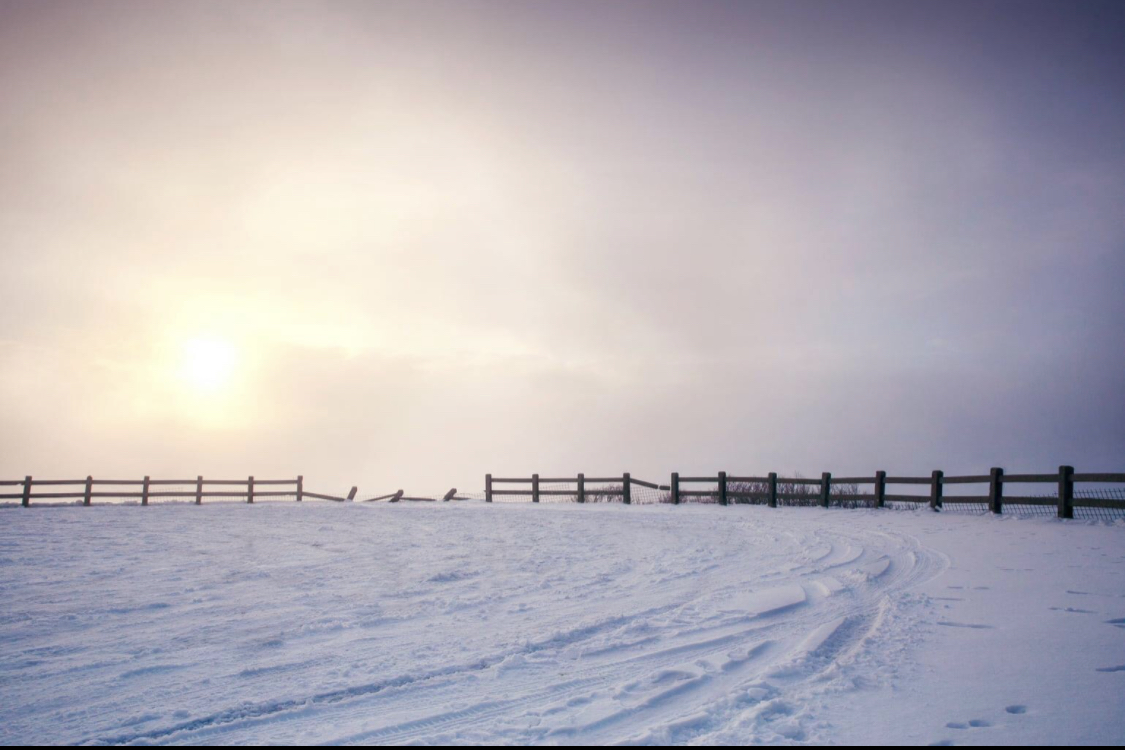 The sound of silence  di pam_ambrosini