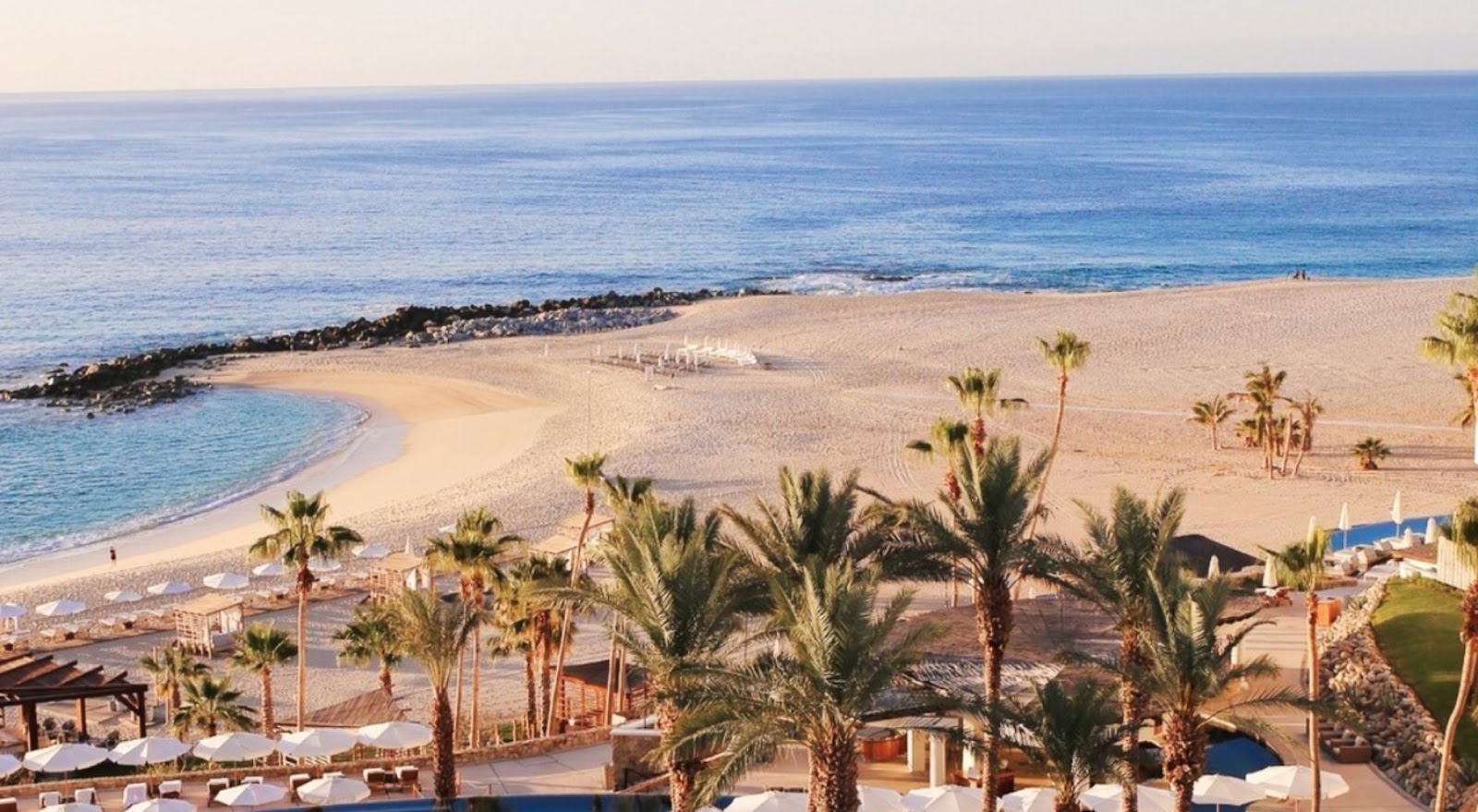 Palm trees and beach chairs on Tequila Cove beach