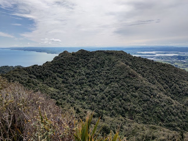 Mount Karioi Peak