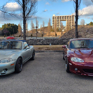 ロードスター NB6C