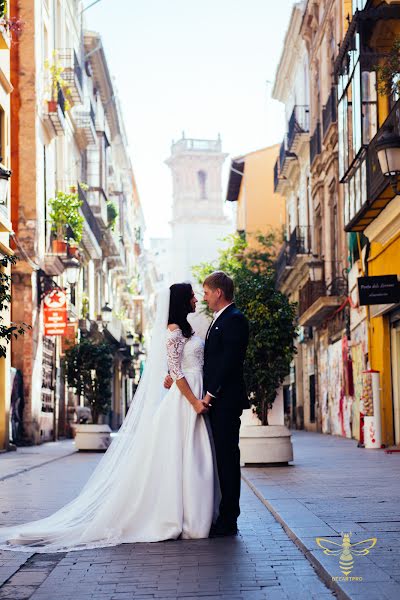 Photographe de mariage Anastasiya Petrova (anastasialaluz). Photo du 31 octobre 2016