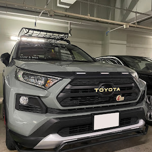 RAV4 MXAA54