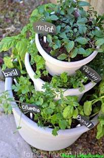 DIY Herb Garden Design Ideas Screenshots 10
