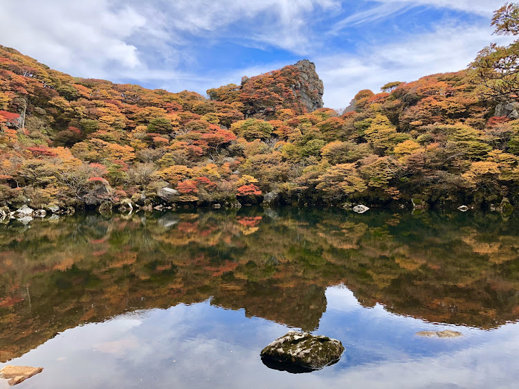 の投稿画像3枚目