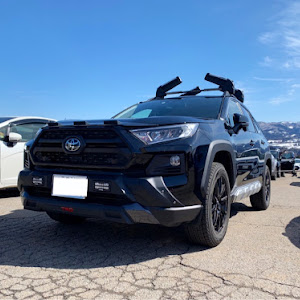 RAV4 MXAA54