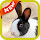 Rabbit Wallpaper HD Custom New Tab