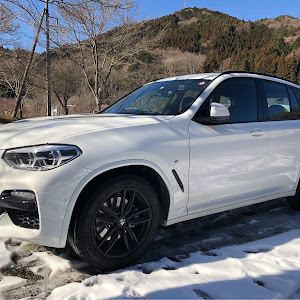 X3 xDrive 20d