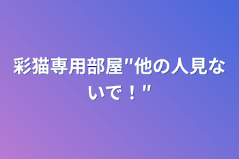 彩猫専用部屋″他の人見ないで！″