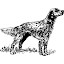 English Setter Themes & New Tab