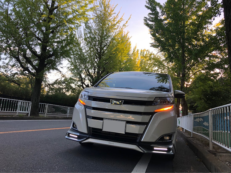 ノアの奈良県天理市・銀杏の木・写真撮影・TOYOTA・クルマ好きに関するカスタム事例の投稿画像1枚目