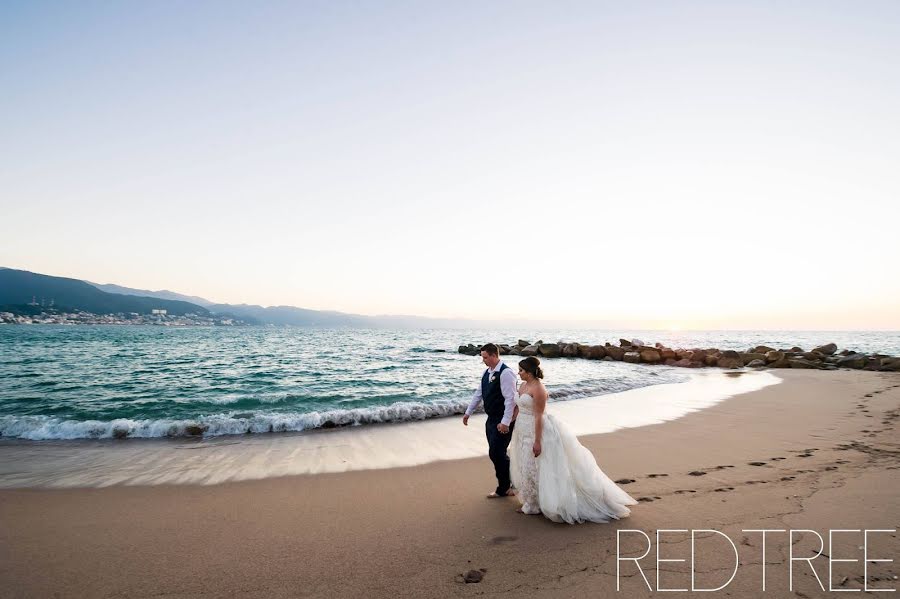 Photographe de mariage Amy Moedt (amymoedt). Photo du 9 mai 2019