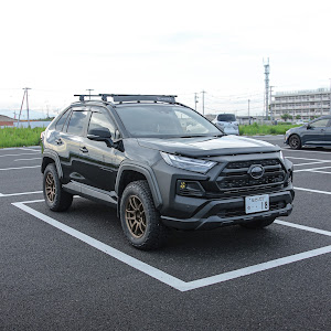 RAV4 AXAH54