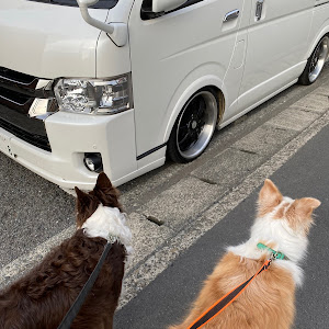 ハイエースバン