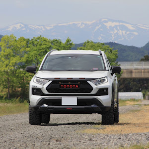 RAV4 AXAH52