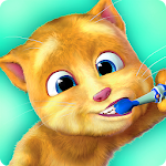 Cover Image of Download Talking Ginger 2.5.8.25 APK