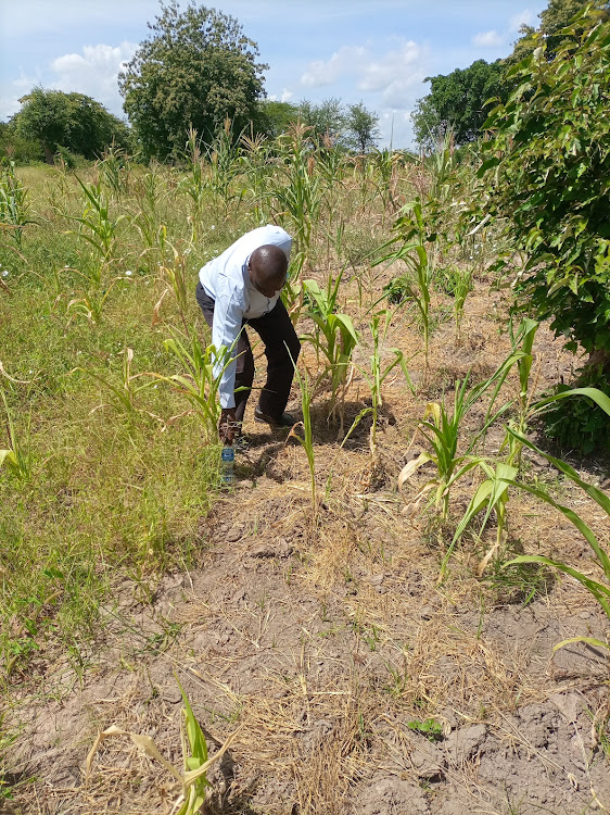 Coordinator for National Drought Management Authority, Francis Koma, inspects a farm at Kaveta village in Kitui