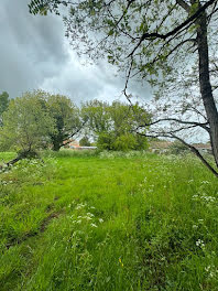 terrain à Talais (33)