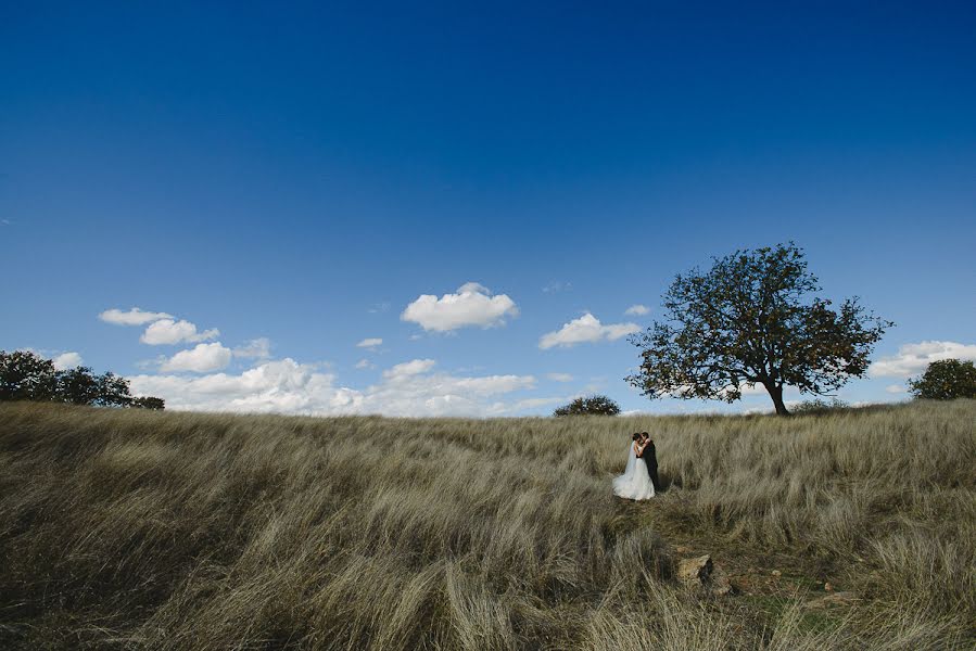 結婚式の写真家Edgar Madrigal (edgarmadrigal)。2015 5月14日の写真