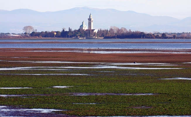 Bassa marea di Arrakis