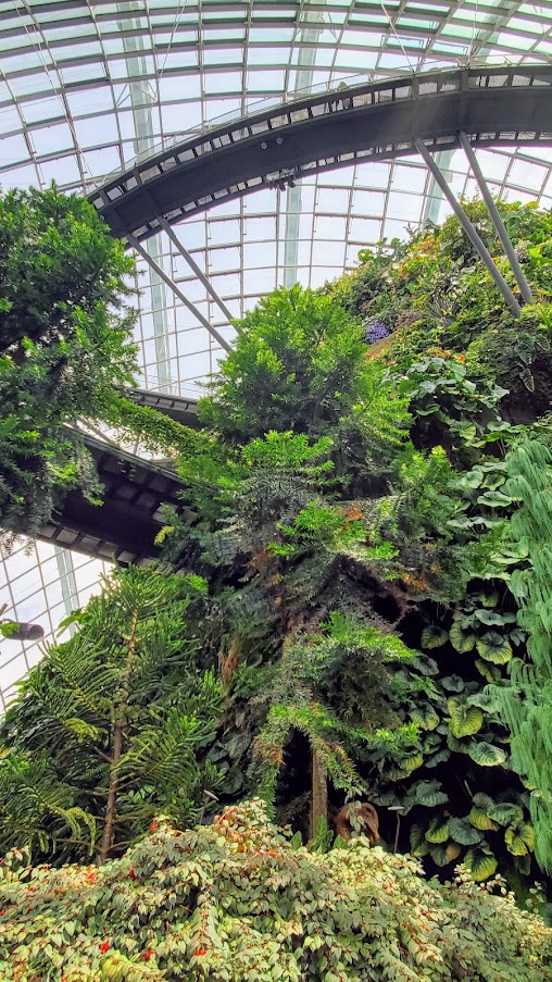 Guide to Visiting Gardens by the Bay, Singapore: inside Cloud Forest