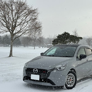 MAZDA2 DJLFS