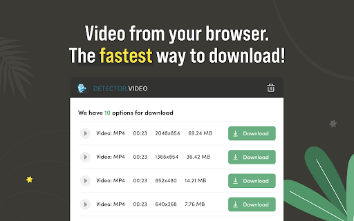 Video Downloader by Detector Video