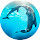 Dolphin Animal Wallpapers New Tab