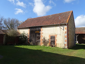 maison à Saint-Hilaire-en-Lignières (18)