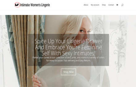 Intimate Women's Lingerie small promo image