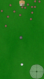 Sheeps Go Home!