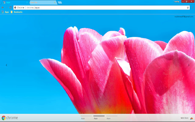 Blue Colorful Flower Petal Pink chrome extension