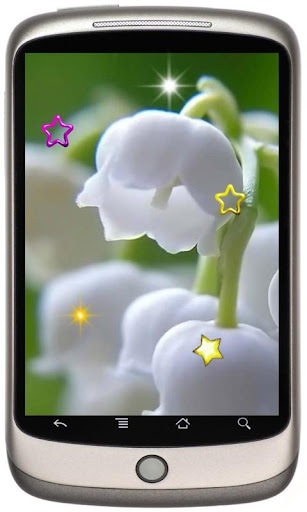 Lily of May live wallpaper