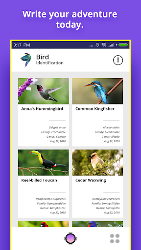Bird Identifier