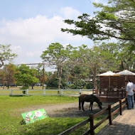 淨園機場咖啡休閒農場