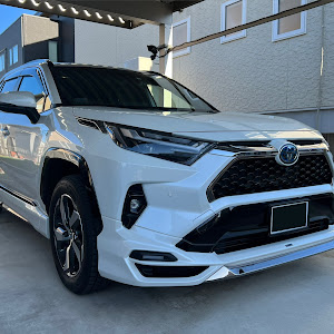 RAV4 AXAP54