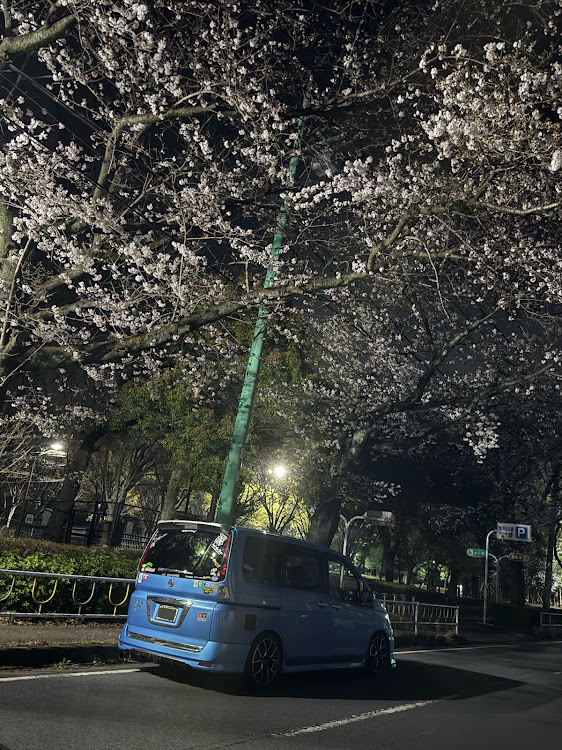 セレナの後ろ姿祭・夜の部活動😆🌟・夜桜コラボ・カメ活・タククマFamilyに関するカスタム事例の投稿画像8枚目