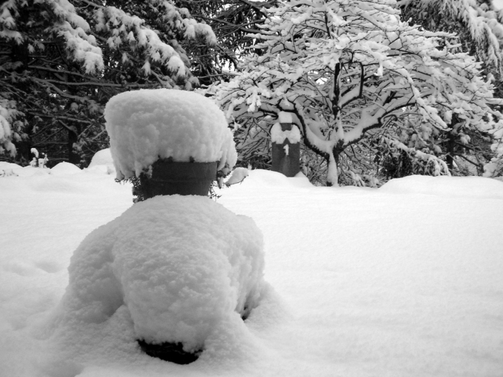 Tanta neve! di pisi120680