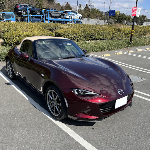 ロドおくのプロフィール画像