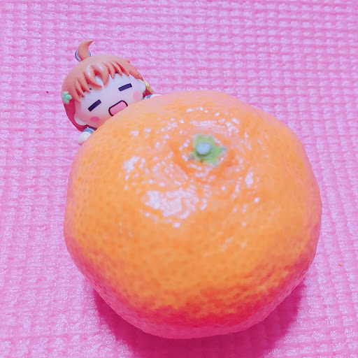 もっちーのプロフィール画像